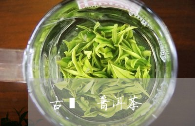 古濮 普洱茶/2023042896002